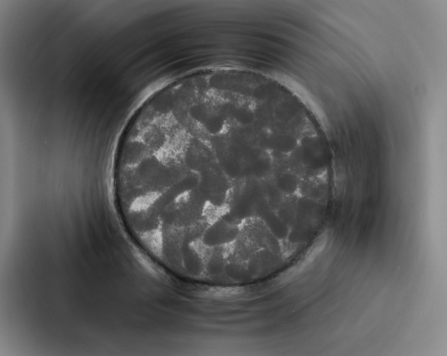 X0000086920845200705141721