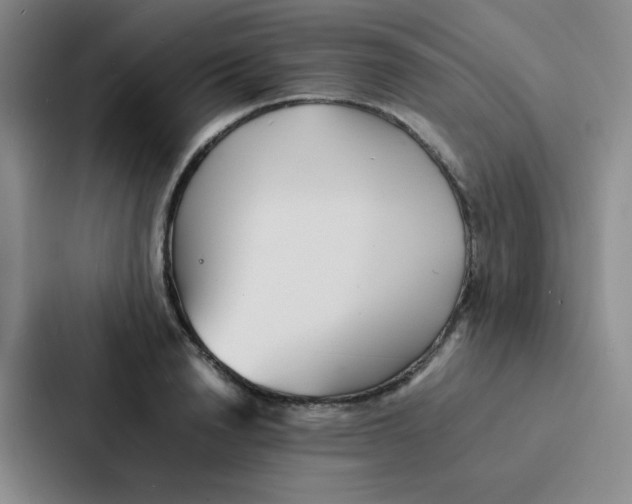 X0000086920846200705141721