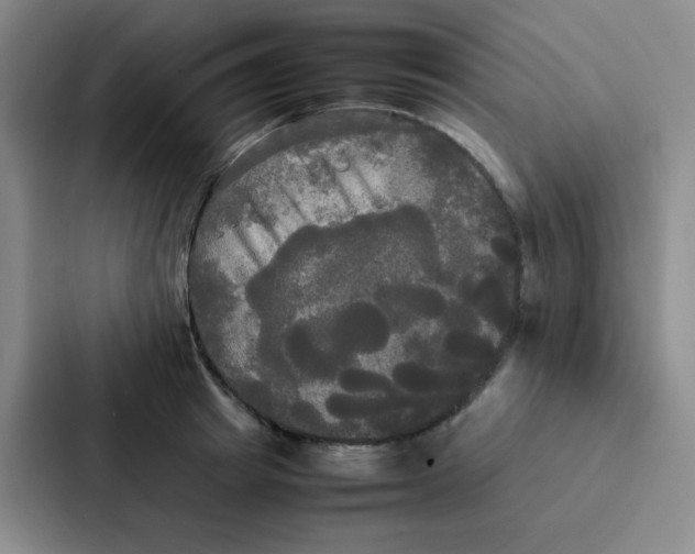 X0000086920849200705141721