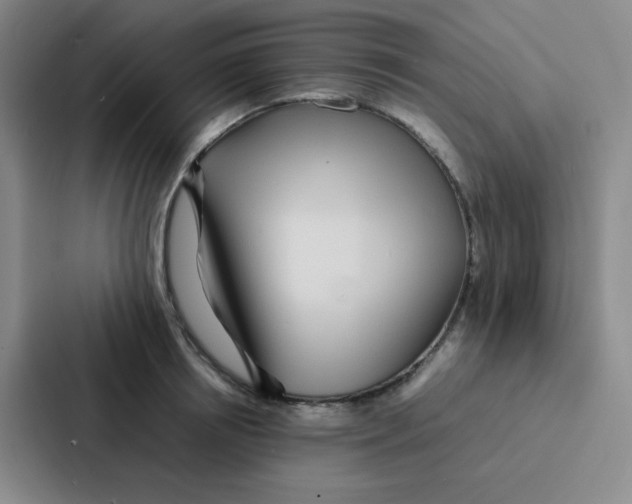 X0000086920850200705141721