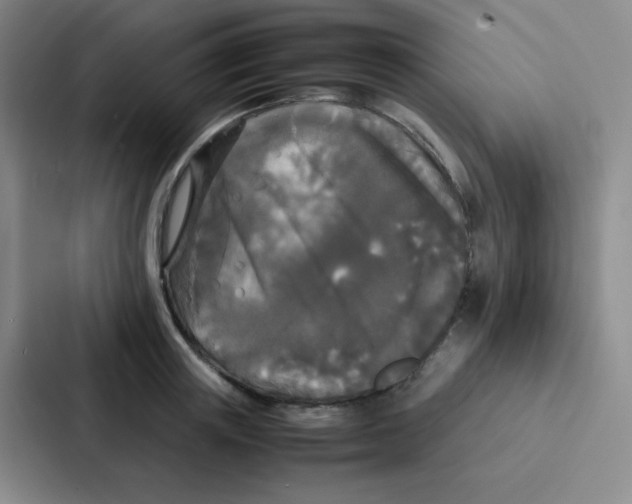 X0000086920851200705141721