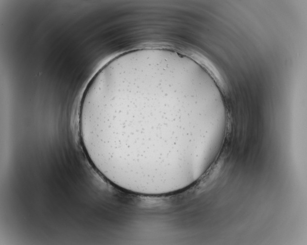 X0000086920852200705141721
