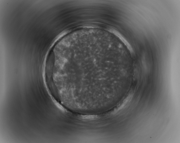 X0000086920853200705141721
