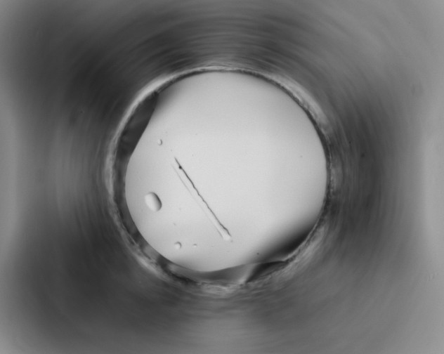X0000086920854200705141721