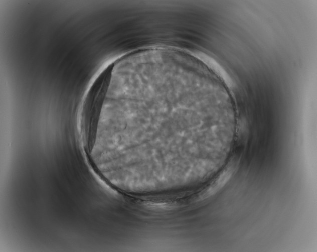 X0000086920855200705141721