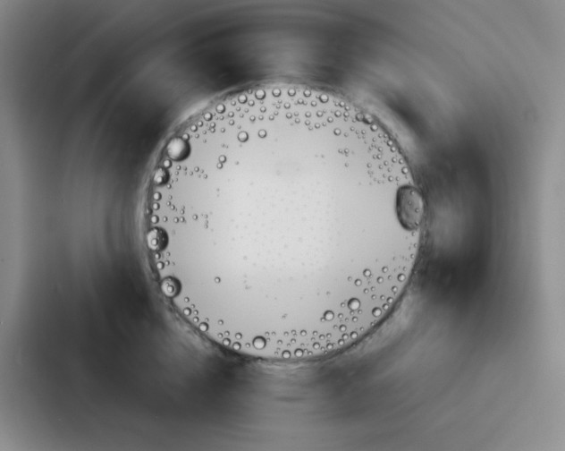 X0000086920856200705141721
