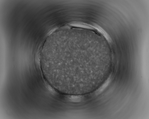 X0000086920857200705141721