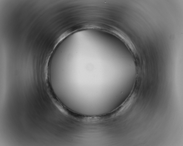 X0000086920858200705141721