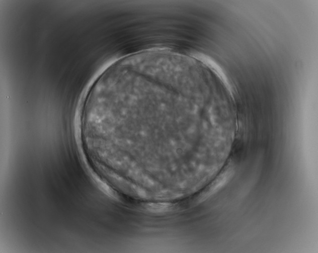 X0000086920859200705141721