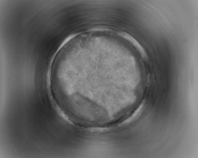 X0000086920860200705141721