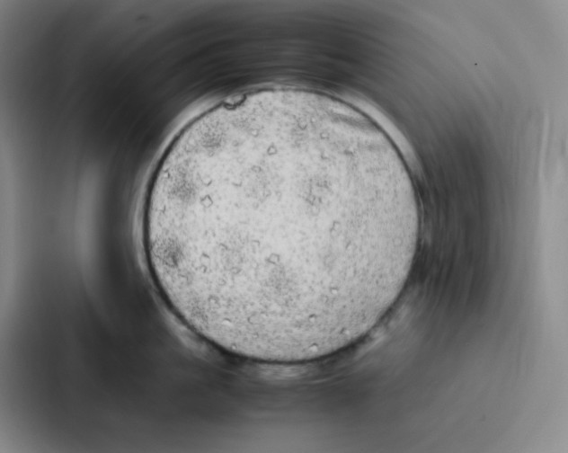 X0000086920861200705141721
