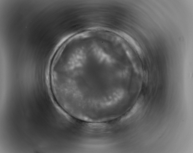 X0000086920863200705141721