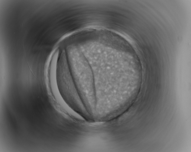 X0000086920864200705141721