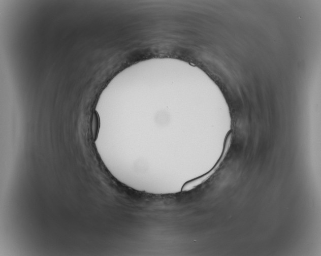 X0000086920865200705141720