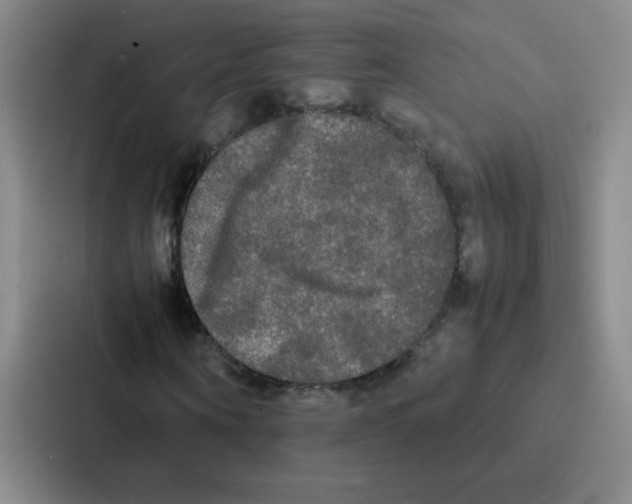 X0000086920866200705141720