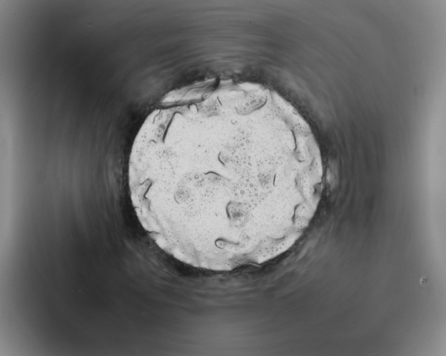 X0000086920867200705141720
