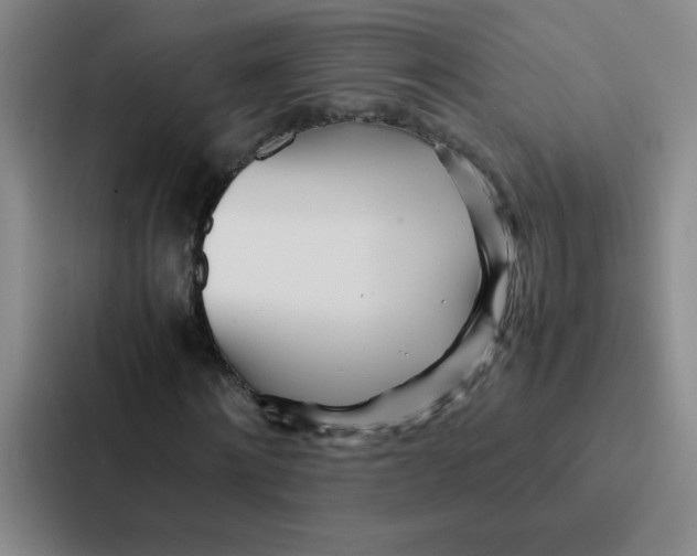 X0000086920868200705141720