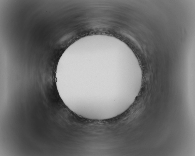 X0000086920869200705141720