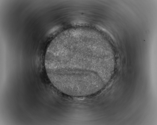 X0000086920870200705141720