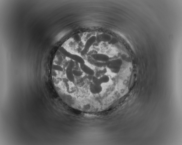 X0000086920871200705141720