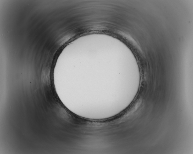X0000086920873200705141720
