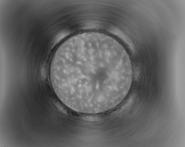 X0000086920874200705141720