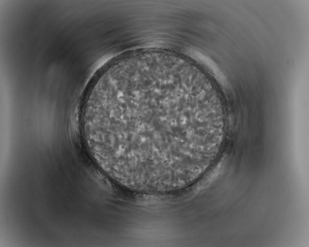 X0000086920875200705141720