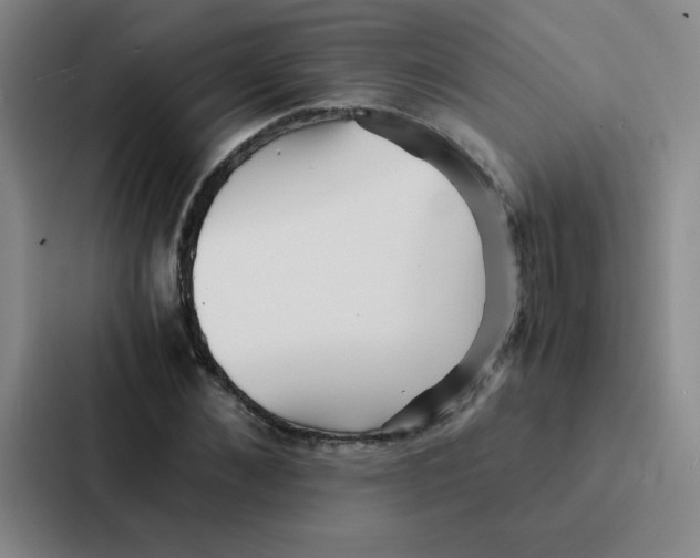 X0000086920876200705141720