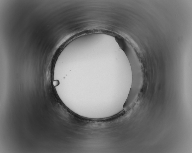 X0000086920877200705141720