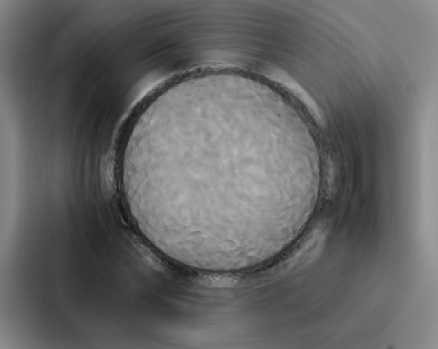 X0000086920878200705141720