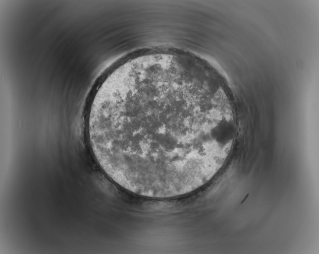 X0000086920879200705141720