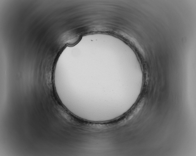X0000086920881200705141720