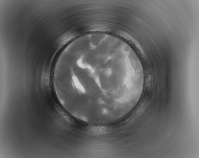 X0000086920882200705141720