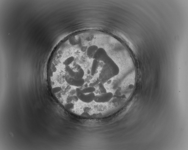 X0000086920883200705141720