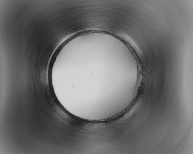 X0000086920884200705141720