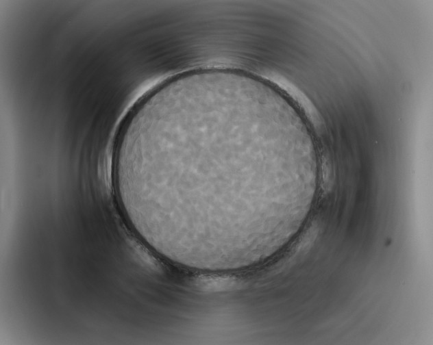 X0000086920886200705141720