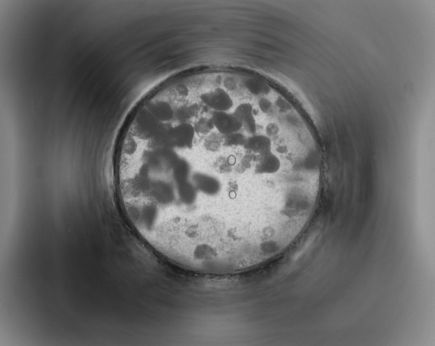 X0000086920887200705141720