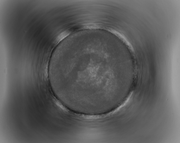 X0000086920889200705141720