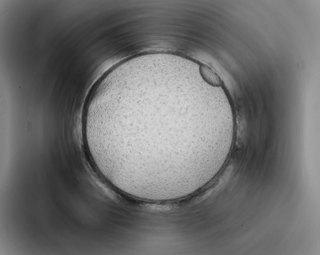 X0000086920890200705141720