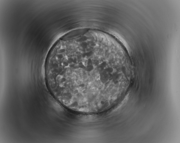 X0000086920891200705141720