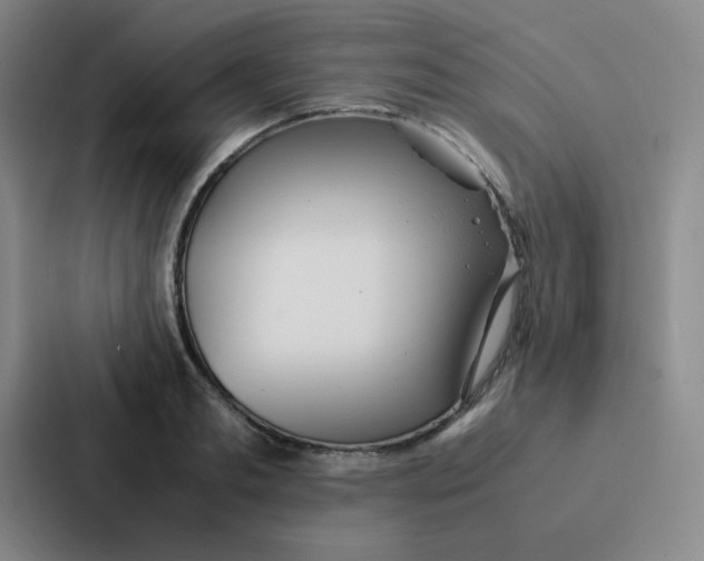 X0000086920893200705141720