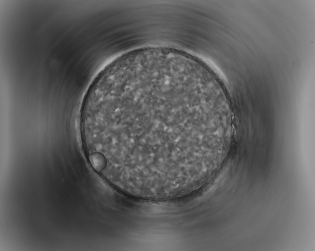 X0000086920895200705141720