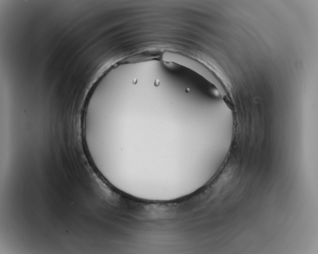 X0000086920898200705141720