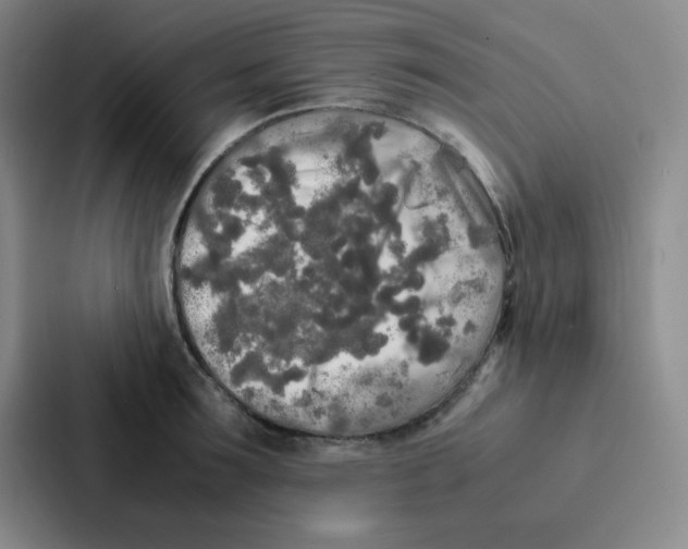 X0000086920899200705141720
