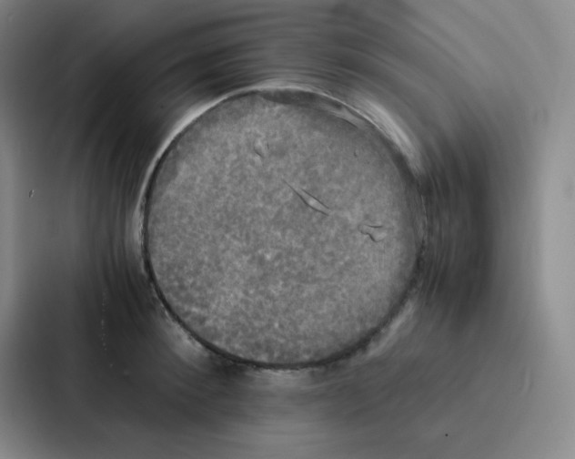 X0000086920900200705141720
