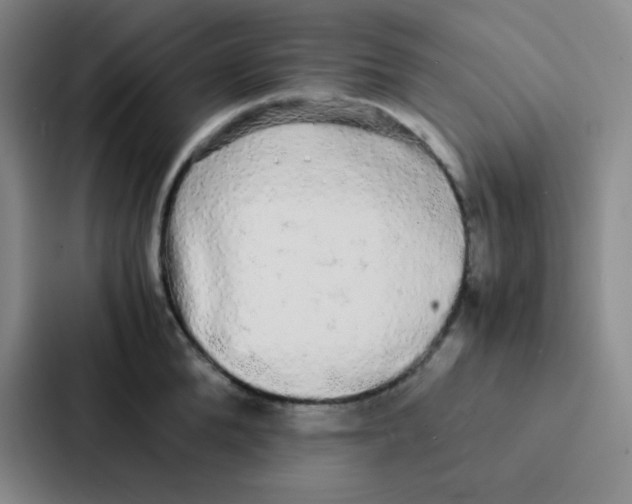 X0000086920904200705141720