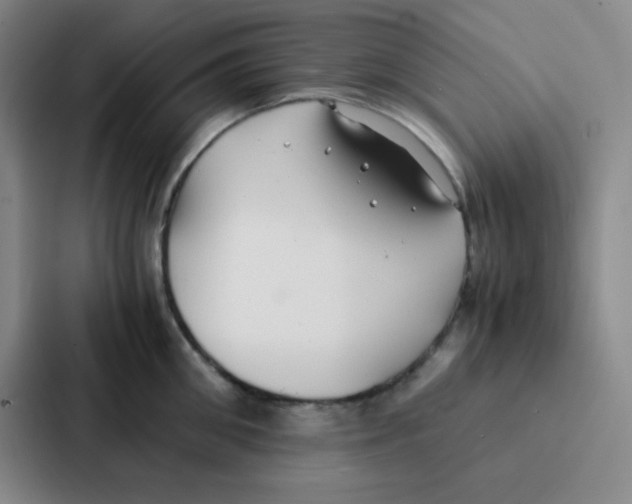 X0000086920906200705141720