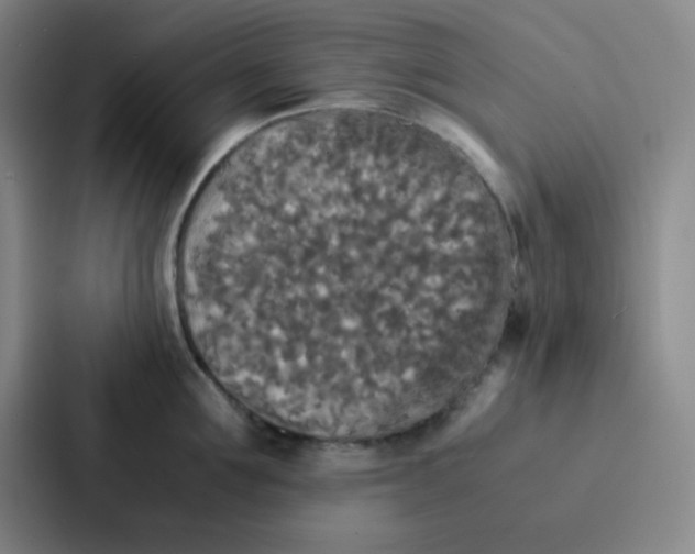 X0000086920907200705141720