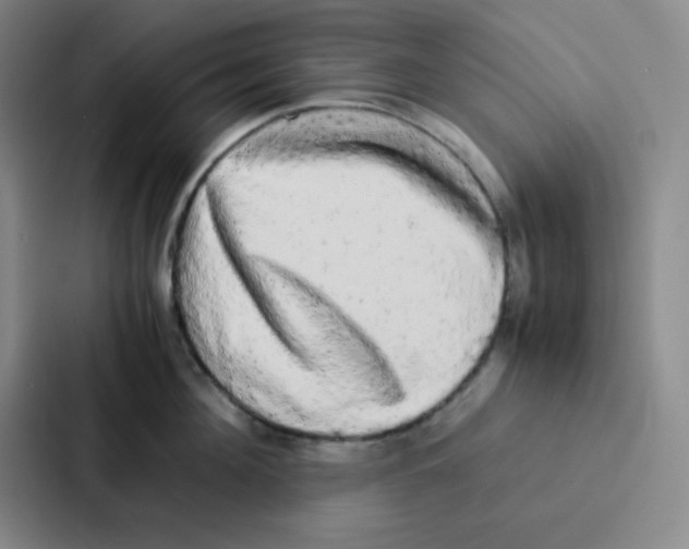 X0000086920908200705141720