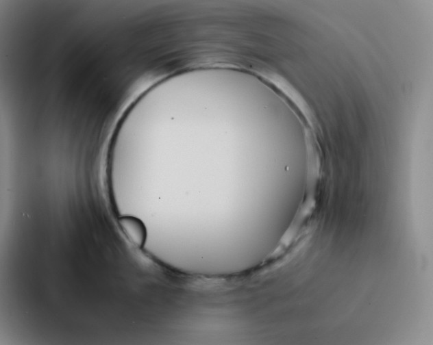 X0000086920909200705141720